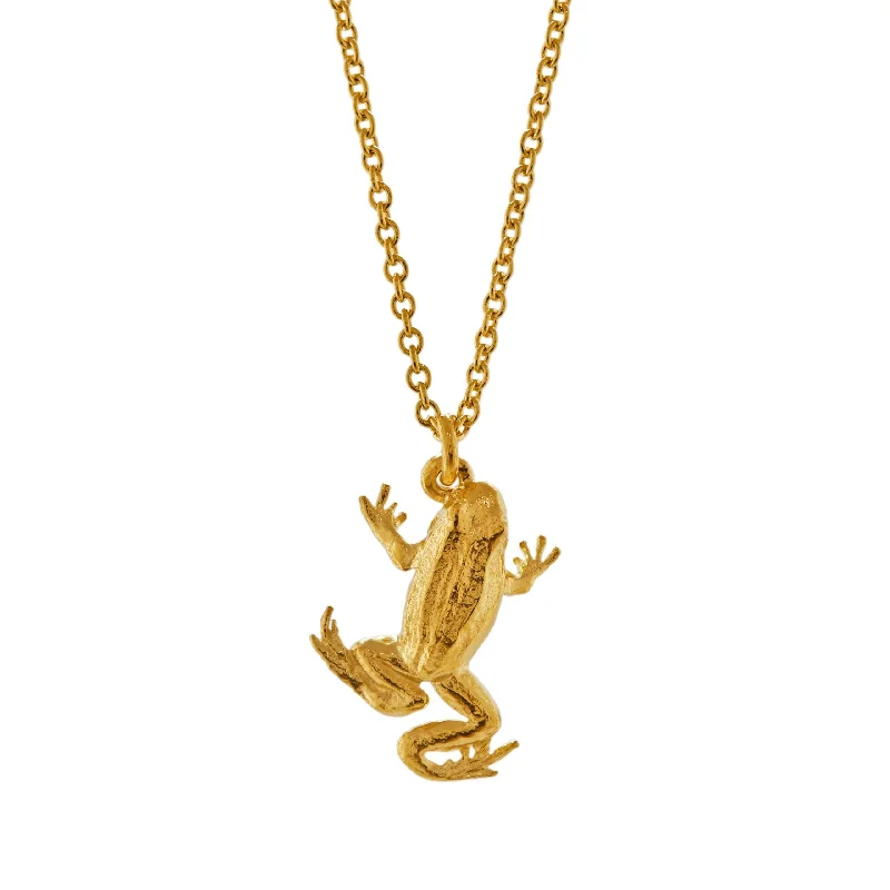 pendant necklaces for women -Alex Monroe Frog Necklace