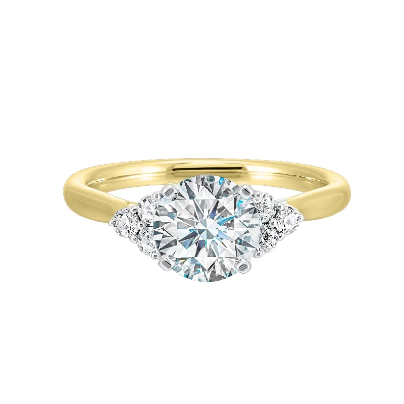 customized engagement rings -1/5 Ctw Daphne Diamond Engagement Ring Setting in 14 Karat Two Tone Gold